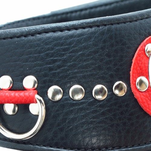 БДСМ ошейник