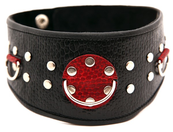 Ошейник с клепками кожа