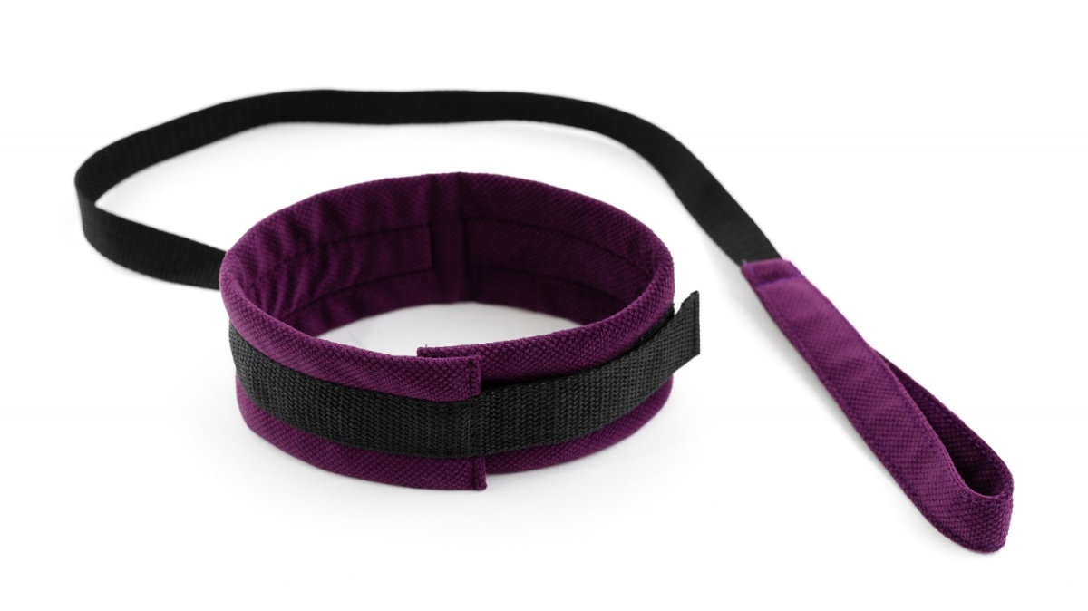 Ошейник с поводком фиолетовый My rules