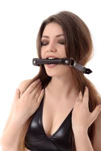 Кляп-трензель коричневый