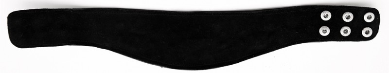 Ошейник с клепками кожа