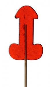 Сладкий леденец в форме пениса 