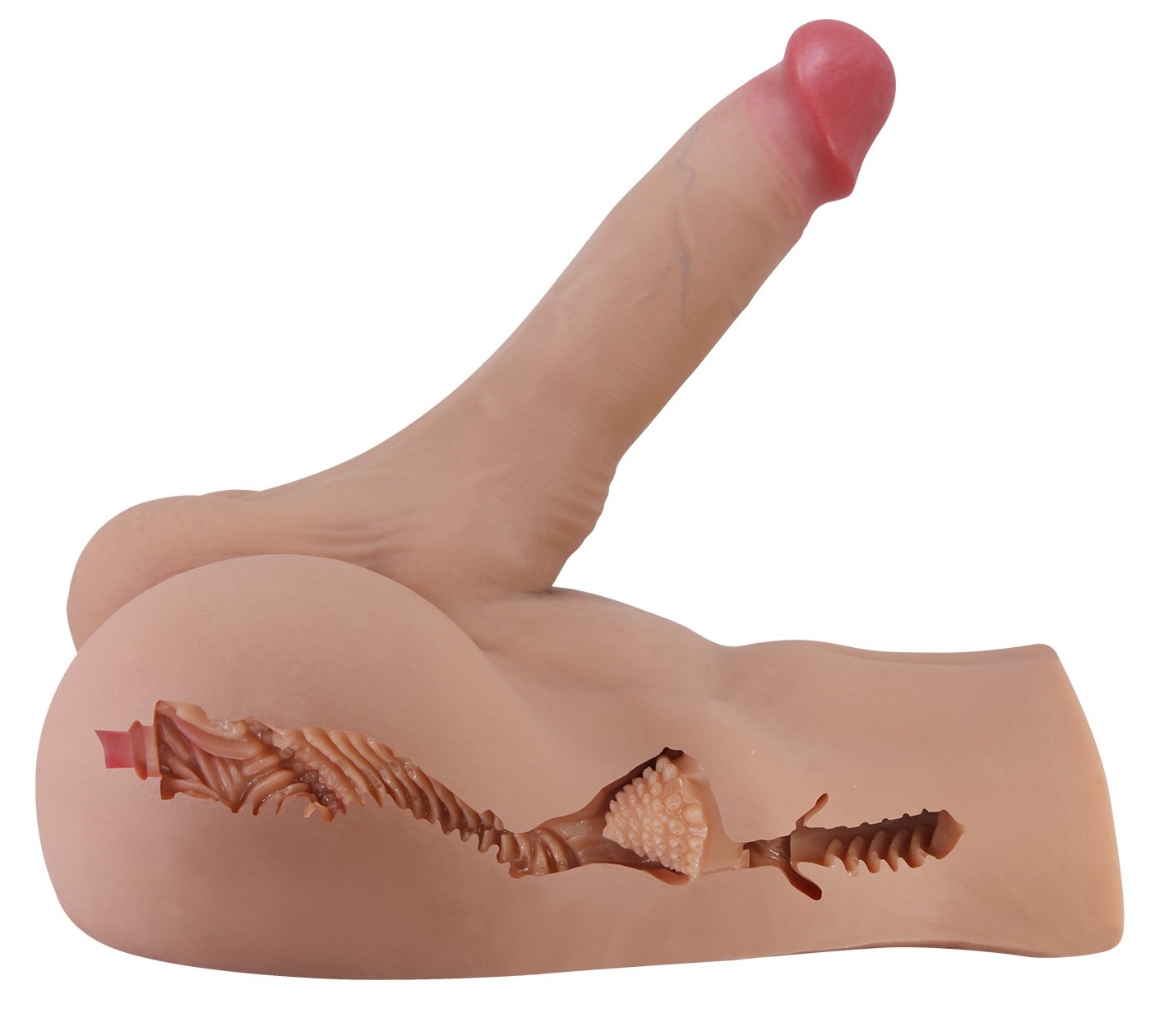 Мужской реалистичный полуторс с анальным отверстием