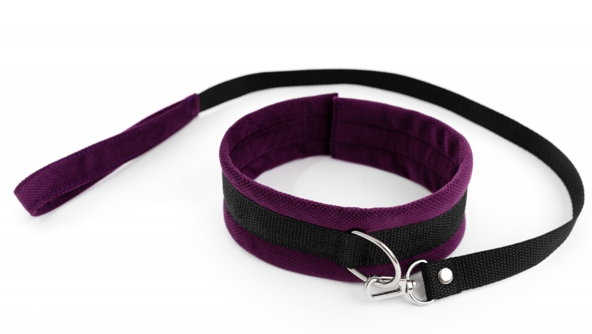 Ошейник с поводком фиолетовый My rules