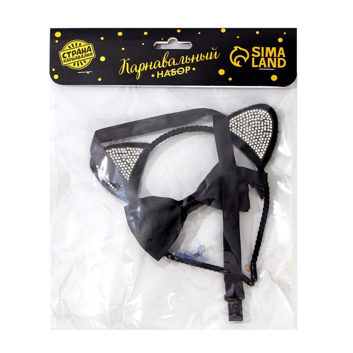 Игровой набор Стильная кошечка