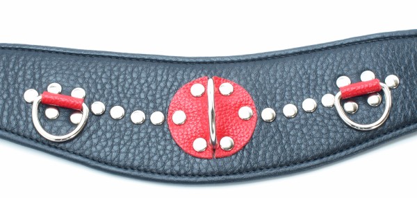 БДСМ ошейник