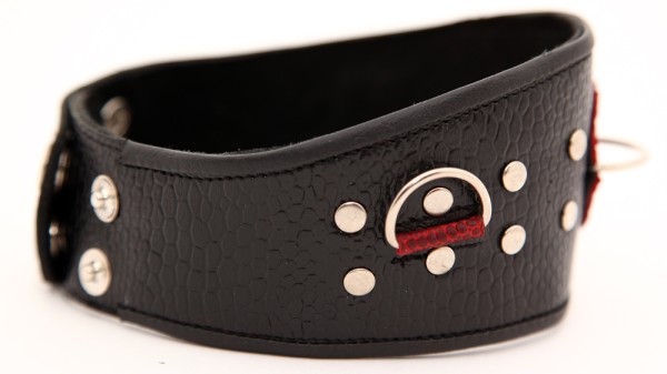 Ошейник с клепками кожа