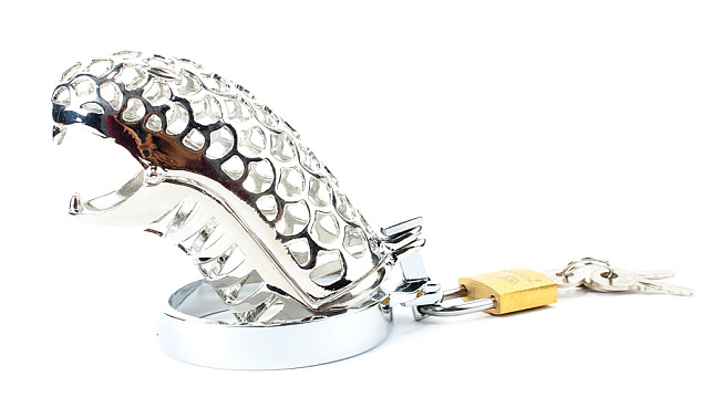 Пояс верности кобра