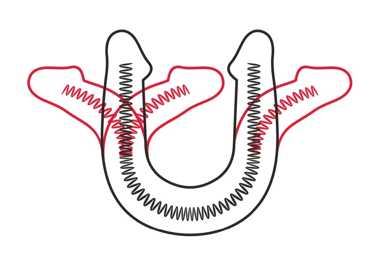 Двусторонний фаллос неоскин 42,5 см
